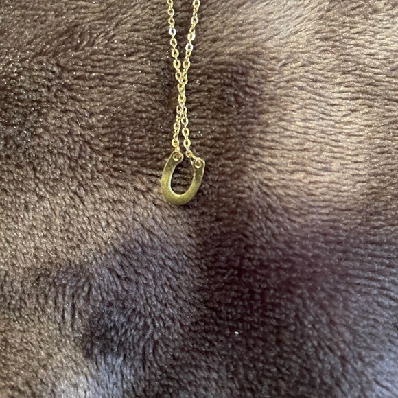 - 🌟HOST PICK🌟New Stainless Steel Horseshoe Necklace - Picture 7 of 9